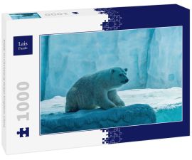 Lais Puzzle - Eisbär im Chimelong Ocean Kingdom, China - 1.000 Teile