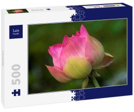 Lais Puzzle - Lotusblüte - 500 Teile