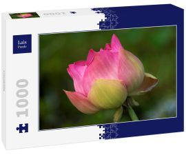 Lais Puzzle - Lotusblüte - 1.000 Teile
