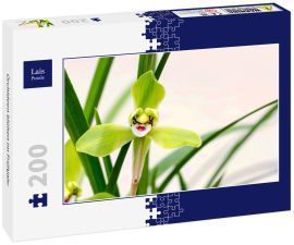 Lais Puzzle - Orchideen blühen im Frühjahr - 200 Teile