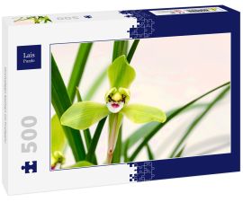 Lais Puzzle - Orchideen blühen im Frühjahr - 500 Teile