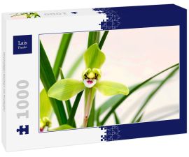 Lais Puzzle - Orchideen blühen im Frühjahr - 1.000 Teile