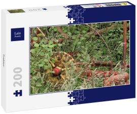 Lais Puzzle - Traktor - 200 Teile