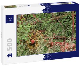 Lais Puzzle - Traktor - 500 Teile