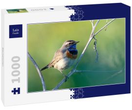 Lais Puzzle - Blaukehlchen  - 1.000 Teile