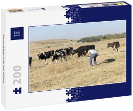 Lais Puzzle - Mann macht Foto von Kühen - 200 Teile
