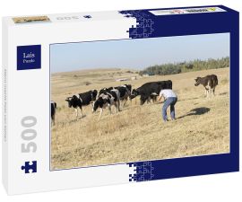 Lais Puzzle - Mann macht Foto von Kühen - 500 Teile