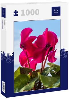 Lais Puzzle - Alpenveilchen - 1.000 Teile