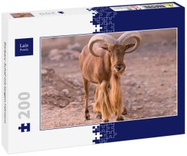 Lais Puzzle - Barbary-Schaf mit langen Hörnern - 200 Teile
