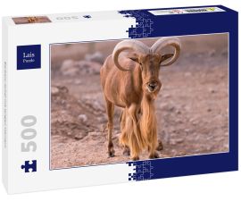Lais Puzzle - Barbary-Schaf mit langen Hörnern - 500 Teile