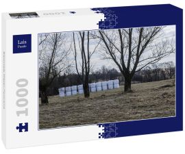 Lais Puzzle - Bieszczady Wiesen-Panorama - 1.000 Teile
