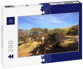 Lais Puzzle - Bäume in Landschaft - 200 Teile