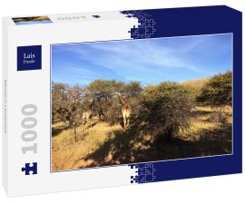 Lais Puzzle - Bäume in Landschaft - 1.000 Teile
