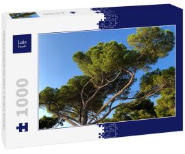 Lais Puzzle - Waldpark Goldenes Kap Zlatni rt, Rovigno, Kroatien - 1.000 Teile