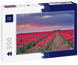 Lais Puzzle - Tulpen Grevenbroich - 500 Teile