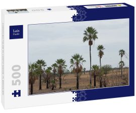 Lais Puzzle - CARNAUBA PALME IN CAMPO MAIOR, PI, BRASILIEN - 500 Teile