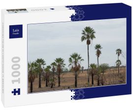 Lais Puzzle - CARNAUBA PALME IN CAMPO MAIOR, PI, BRASILIEN - 1.000 Teile