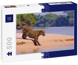 Lais Puzzle - Jaguar, Panthera Onca, Weibchen, Fluss Cuiaba, Porto Jofre, Pantanal Matogrossense, Mato Grosso do Sul, Brasilien - 500 Teile