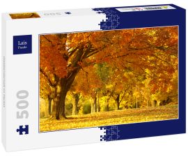 Lais Puzzle - Waldlandschaft im Herbst - 500 Teile