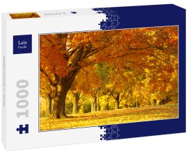 Lais Puzzle - Waldlandschaft im Herbst - 1.000 Teile