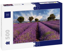Lais Puzzle - Lavendelfeld in der Provence - 500 Teile