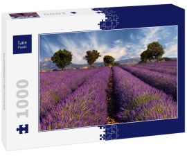 Lais Puzzle - Lavendelfeld in der Provence - 1.000 Teile