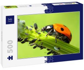 Lais Puzzle - Marienkäfer - 500 Teile