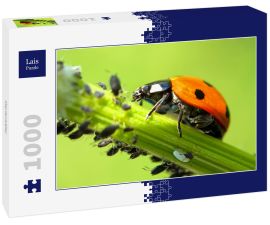 Lais Puzzle - Marienkäfer - 1.000 Teile