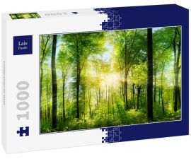Lais Puzzle - Lichtstrahlen im Wald - 1.000 Teile