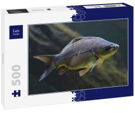 Lais Puzzle - Karpfen - 500 Teile