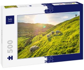Lais Puzzle - Schafe in Irland - 500 Teile