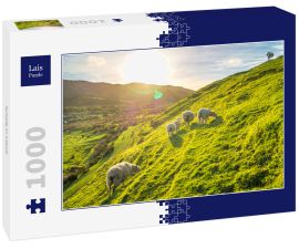 Lais Puzzle - Schafe in Irland - 1.000 Teile