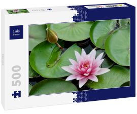 Lais Puzzle - Seerose - 500 Teile