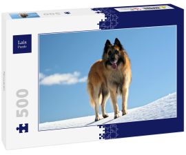 Lais Puzzle - Tervueren - 500 Teile