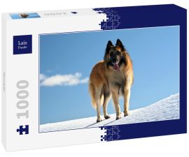 Lais Puzzle - Tervueren - 1.000 Teile