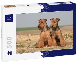 Lais Puzzle - Welsh Terrier - 500 Teile