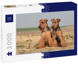 Lais Puzzle - Welsh Terrier - 1.000 Teile