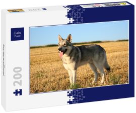 Lais Puzzle - Saarlooswolfhund - 200 Teile