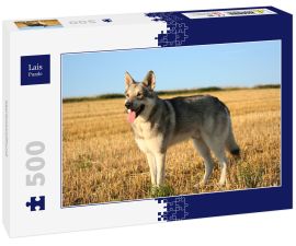 Lais Puzzle - Saarlooswolfhund - 500 Teile