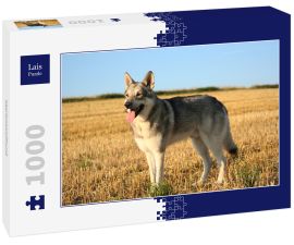Lais Puzzle - Saarlooswolfhund - 1.000 Teile
