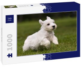 Lais Puzzle - Sealyham Terrier - 1.000 Teile
