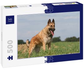 Lais Puzzle - Laekenois - 500 Teile