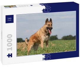 Lais Puzzle - Laekenois - 1.000 Teile