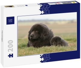 Lais Puzzle - Tibetdogge - 200 Teile