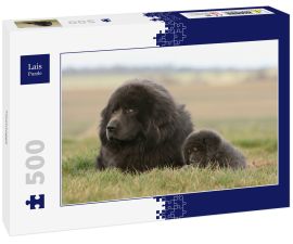 Lais Puzzle - Tibetdogge - 500 Teile