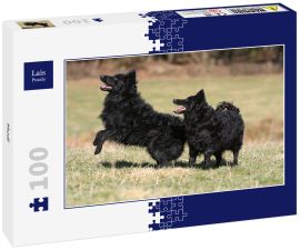 Lais Puzzle - Mudi - 100 Teile
