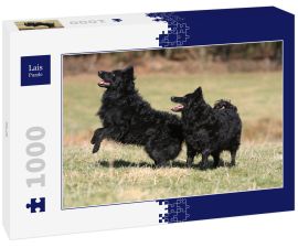Lais Puzzle - Mudi - 1.000 Teile