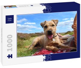 Lais Puzzle - Patterdale Terrier - 1.000 Teile