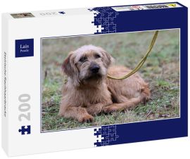 Lais Puzzle - Steirische Rauhhaarbracke - 200 Teile