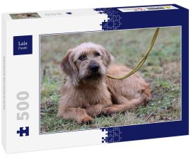 Lais Puzzle - Steirische Rauhhaarbracke - 500 Teile